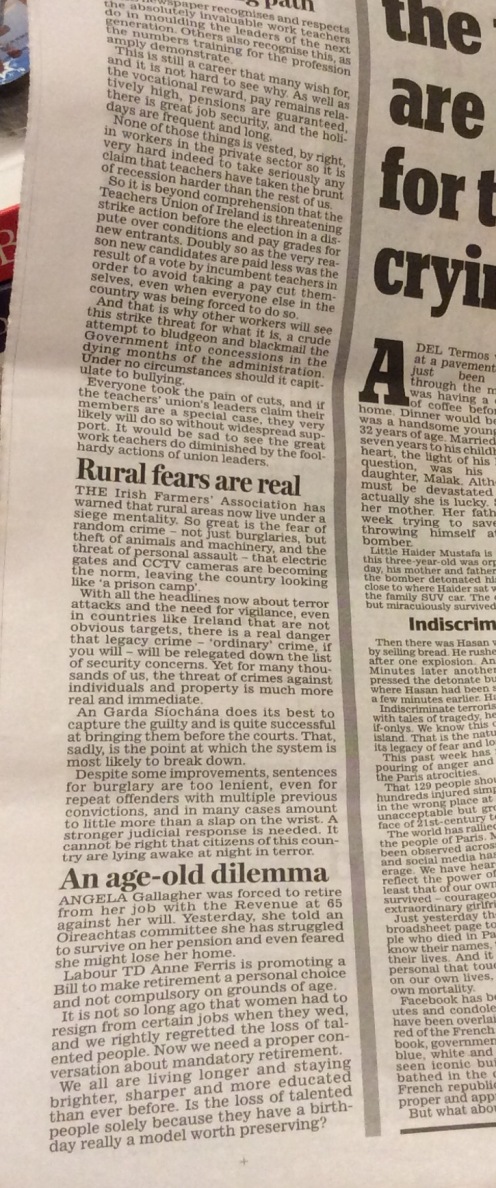 Opinion column Irish Daily Mail November 19 2015
